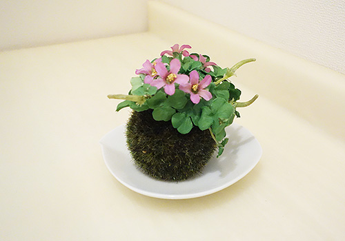 マーガレットハウス