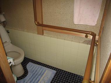 村松トイレ手すり